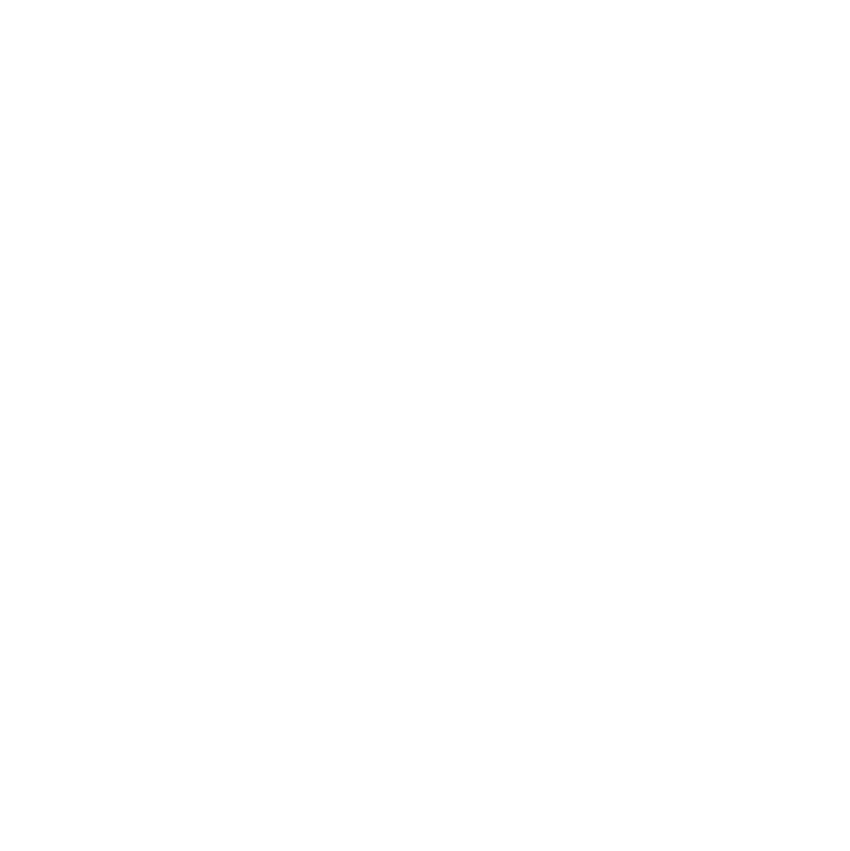 E-Bike Leadville